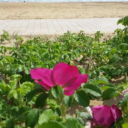 Сasa de vacaciones Iolanda